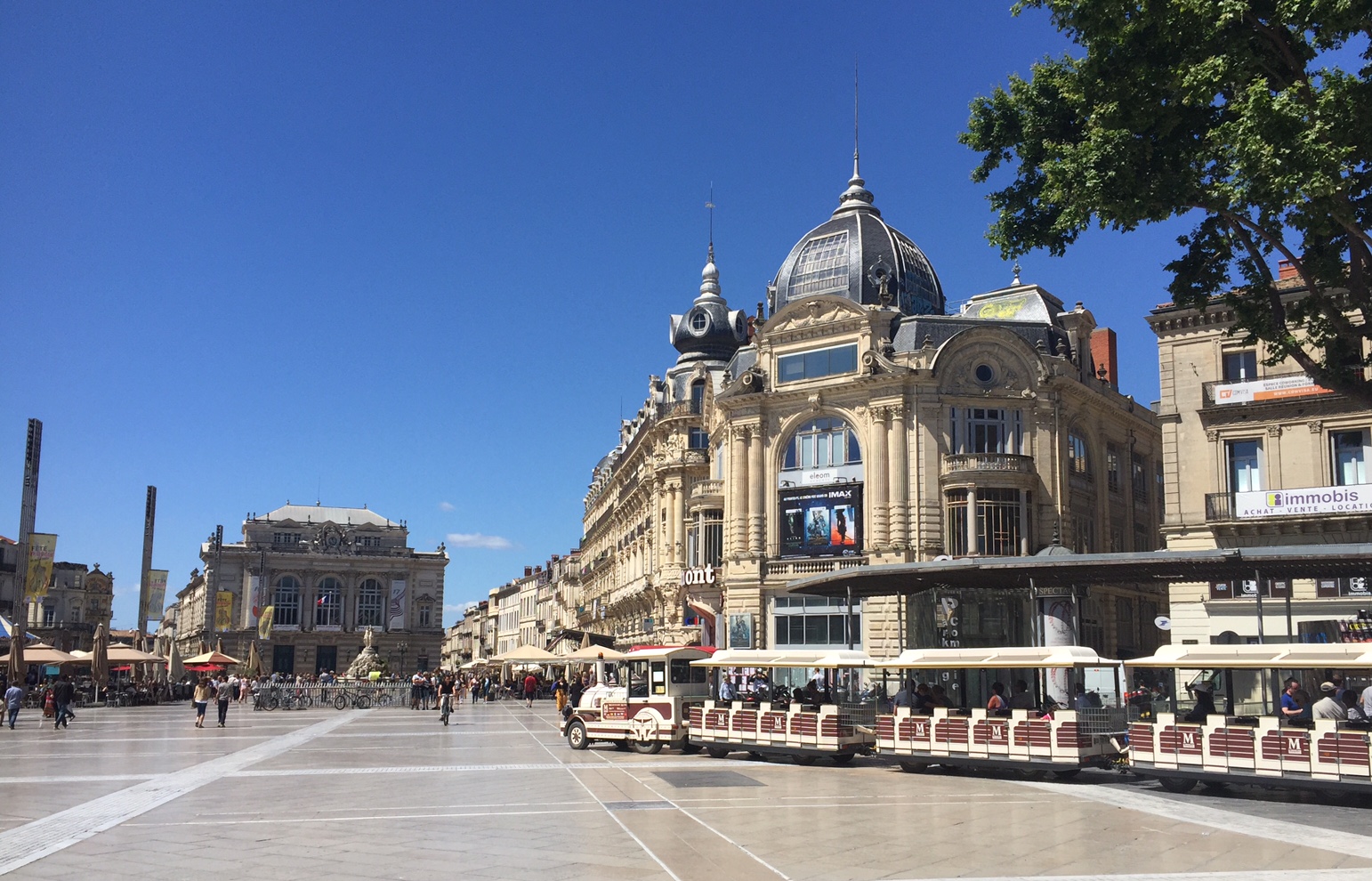 petit lunetier montpellier